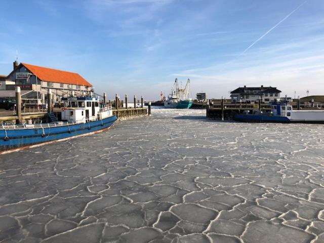 Duinhotel Texel Де-Коог Экстерьер фото